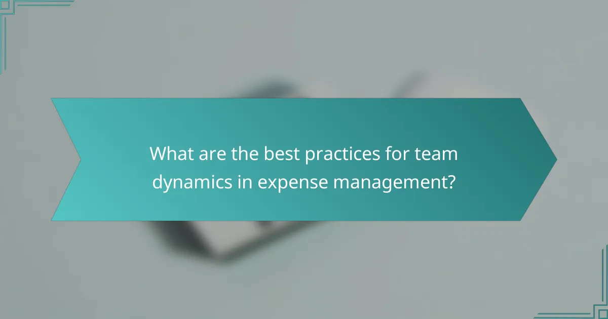 What are the best practices for team dynamics in expense management?